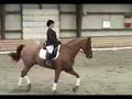 DVCTA Dressage MFS Quadrille Champion