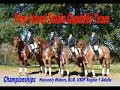 DVCTA Dressage MFS Quadrille Champion