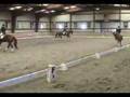 DVCTA Dressage MFS Quadrille Champion