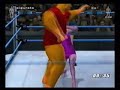 Pooh is fight the Revenge
