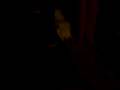 videos de rock to fackie