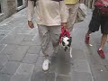 Suisse,Italie,2009