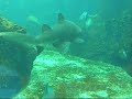 Crete Aquarium