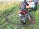 videos de Lollus