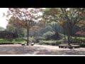埼玉県富士巡り 20091031 03 雀川砂防ダム 演奏 想い出のマス釣り