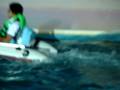 Dolphin Rescue Team