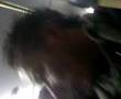 videos de VIEJO EBRIO DE LA MICRO