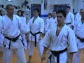CURSO KARATE SHOTOKAN CON SENSEI RAMON EN S. PEDRO (MARBELLA