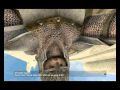 Dark Messiah Warrior Guide Chapter 1 Part 1 02