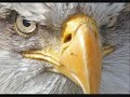 National Anthrax Emergency Declaration Phone Call!! National Anthrax Emergency Declaration Phone Call!!