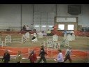Terry-All AKC 2008 Sage JWW - Sunday