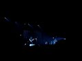 tool live part 1 tool live part 1