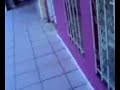 LA DOÑA GROCERA 6