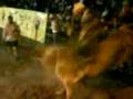 videos de EmiLianO mOntes vs eL nene.3GP