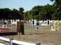 Ludwigs Corner Horse Show
