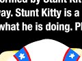 Stunt Kitty 1 - Rocket Launch