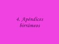 Intimidades de un percebe