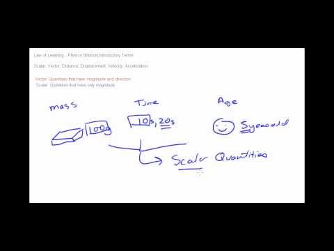 how to distinguish between scalar and vector quantities