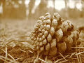 la ferme... des fatals picards la ferme... des fatals picards