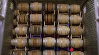 【化「硫」酒器】