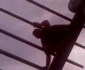 arrampicata 2
