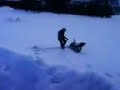 suzuki rmx50 jump