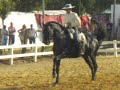 Quira Soft (c): Alta escuela en Bornos Quira Soft (c): Alta escuela en Bornos