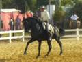 Quira Soft (c): Alta escuela en Bornos