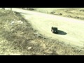 Aeryon Scout VideoZoom10x Overview [http://www.aeryon.com]