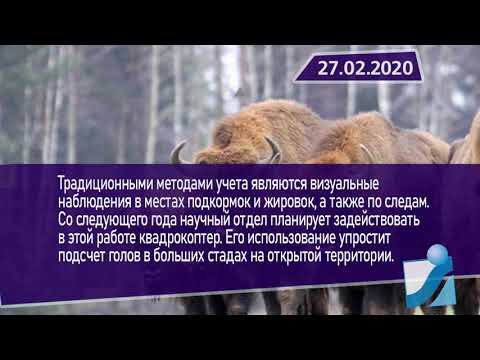 Новостная лента Телеканала Интекс 27.02.20.