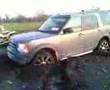 disco buried in lowtown