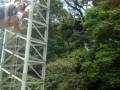 videos de MUMU'S VOANDO