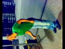 Dancer Sergio