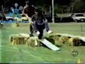 Funny shit... nice bloopers 3 (comedy
