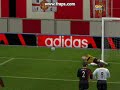 stekelenburg stekelenburg