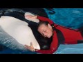 RIP: Whale Trainer killed at seaworld Orlando - 02-24-2010