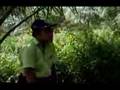 Pupuk Sawit ( Part 1)
