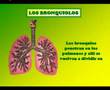 sistema respiratorio