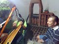 Mi caballo empieza el trote.mp4