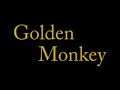 GoldenMonkeyFight3 GoldenMonkeyFight3