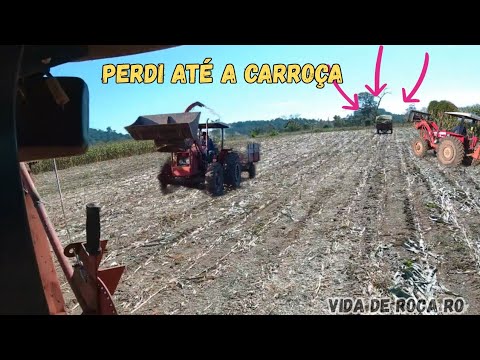 Fazendo silagem ate no dia de domingo