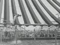 Pacific Ocean Park