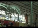 Present! - Tour of the California Academy of Sciences