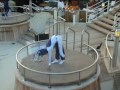 Contorsion Dance-Dinamic