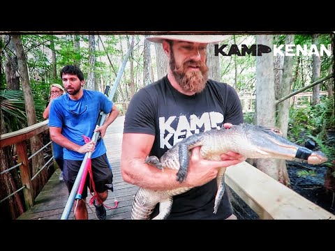 YouTube reptile video