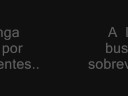 Férias da creuz