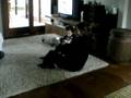 gabriel´s first steps part ii