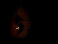 al ritmo de las mulitas - el mejor viaje del mundo al ritmo de las mulitas - el mejor viaje del mundo