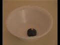 Superconductor Levitation Superconductor Levitation