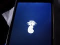 Pwnage 2.0.2 iPhone Unlock Successful